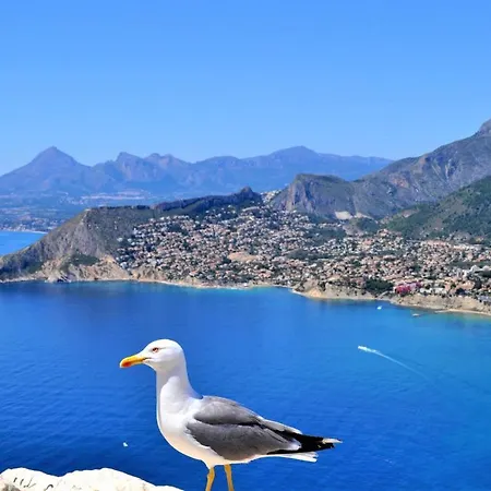 Maryvilla 0306 别墅 *