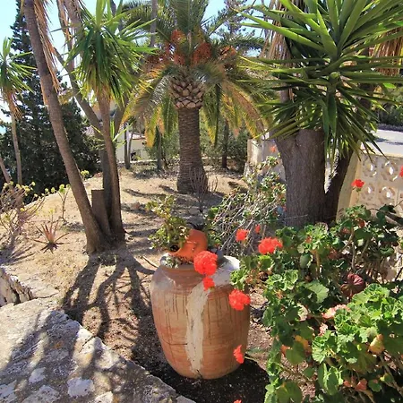 Maryvilla 0306 卡尔佩